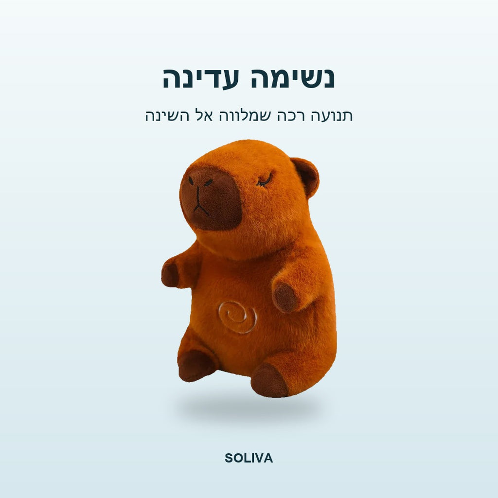 הבונה הנושם של סוליבה